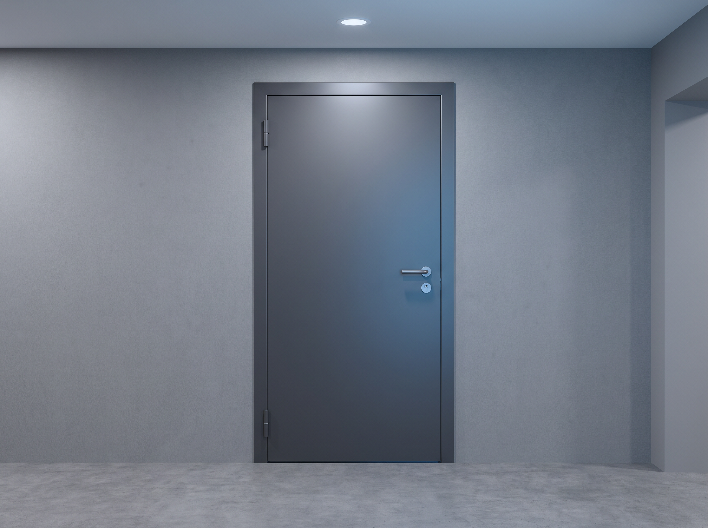Basement door