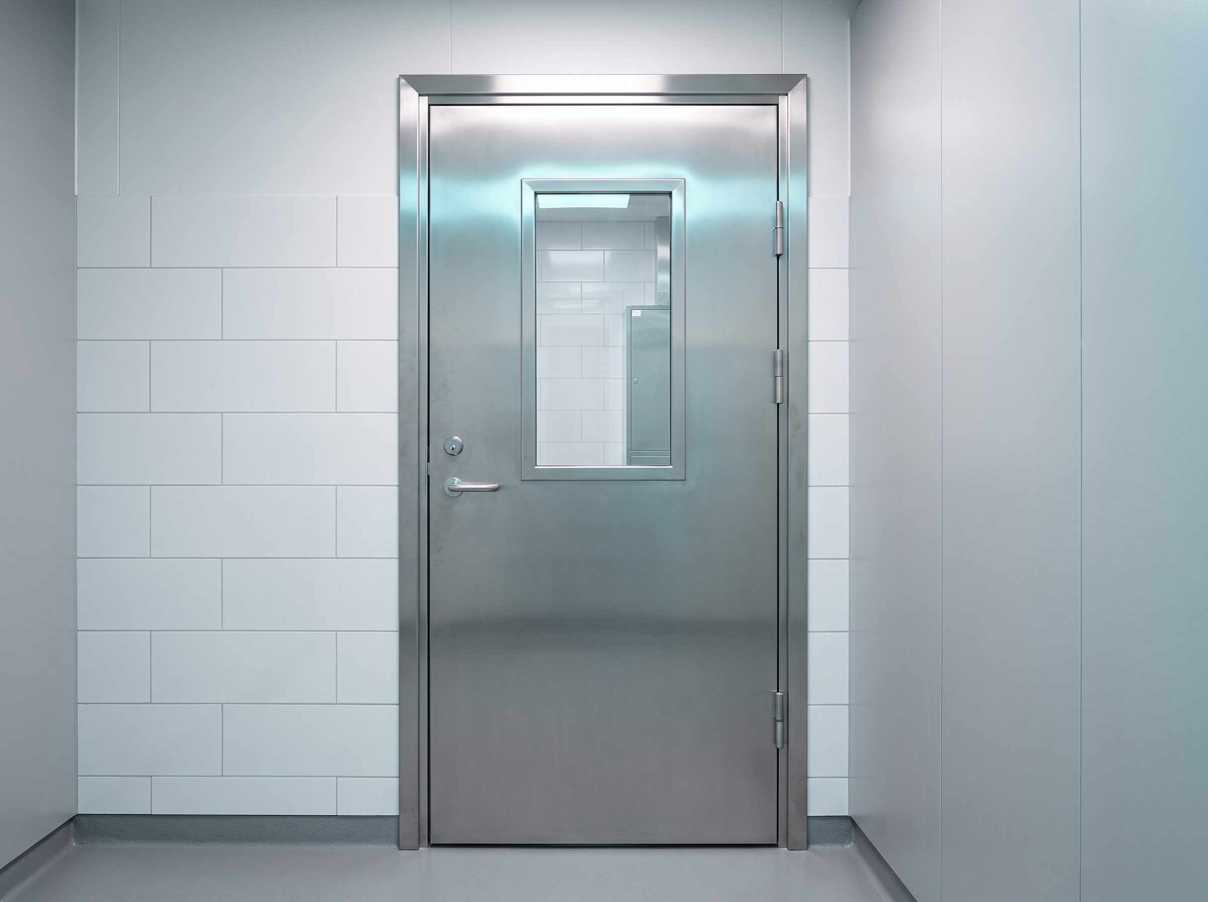 Stainless steel door